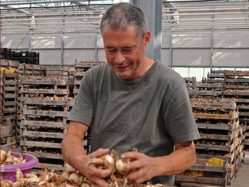 Foto: fluwel.de. - &quot;Für Gartenneulinge sind Narzissen die absoluten Gewinnerzwiebeln. Mit ihnen kann man einfach überhaupt nichts falsch machen&quot;, sagt Blumenzwiebelspezialist Carlos van der Veek. 