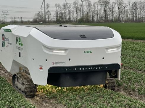 Foto: TPN/GPP. - Roboter wie dieser sind eine wichtige Innovation im Spezialgebiet des Tulpenanbaus und unterstützen die Gärtner beim Übergang zur regenerativen Agrarwirtschaft und zum Präzisionsgartenbau. 