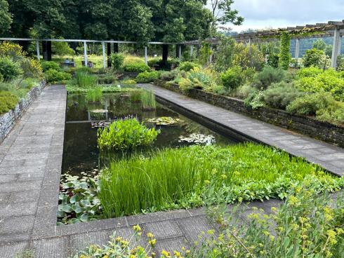 Bild garten.ch: Wasser im Garten ist attraktiv, für Menschen und Lebewesen. Auch kleinere Wasserstellen werden von Vögeln, Kleinsäugern, Amphibien und Insekten gerne besucht.